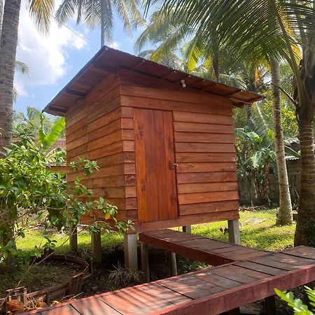 Coco Cabins By Thush Bentota Exterior photo