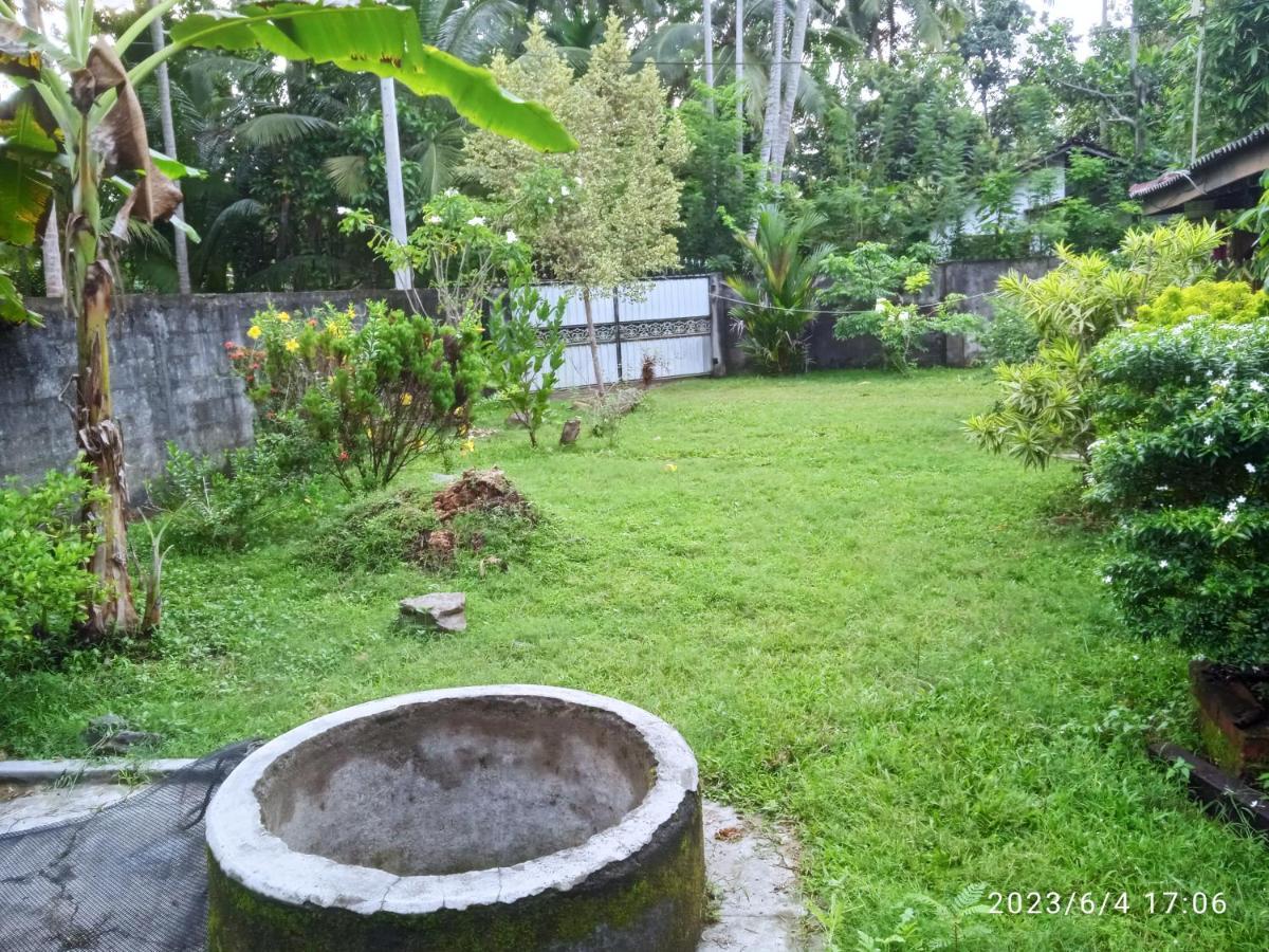 Coco Cabins By Thush Bentota Exterior photo