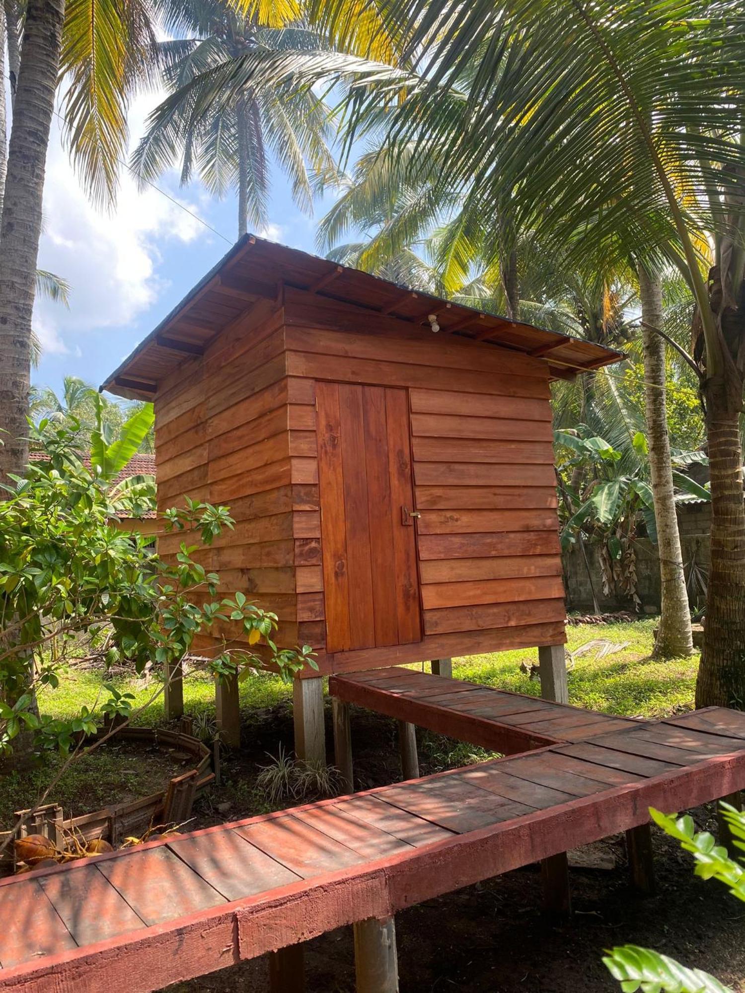 Coco Cabins By Thush Bentota Exterior photo